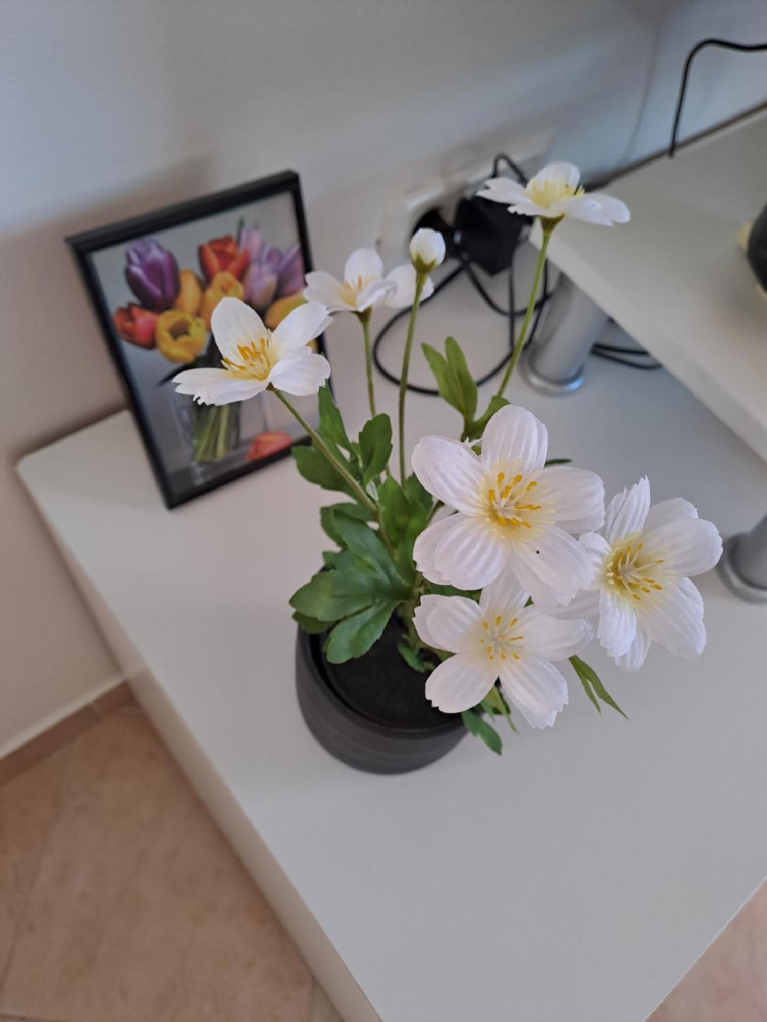 Apartman Valbandon Fazana Bagian luar foto